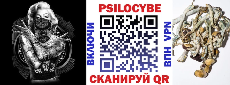 Купить закладки  Луза  Псилоцибиновые грибы Magic Shrooms 